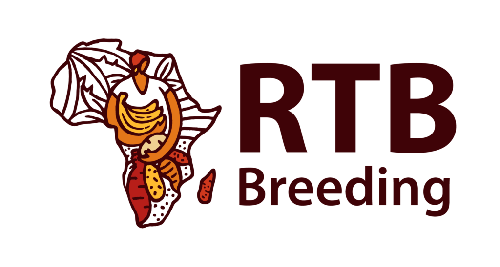 CGIAR RTB Breeding